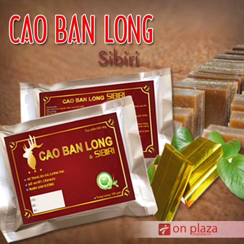 Sử dụng cao ban long Sibiri điều trị dạ dày tốt nhất